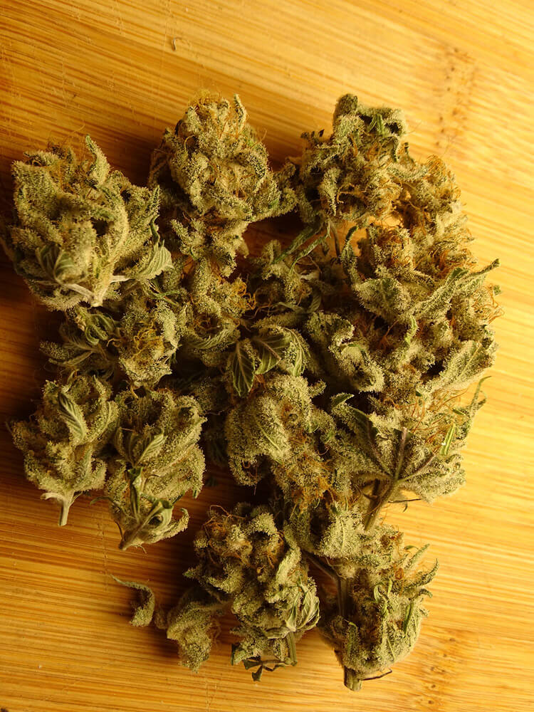 LEMON RAM - Imagen 7