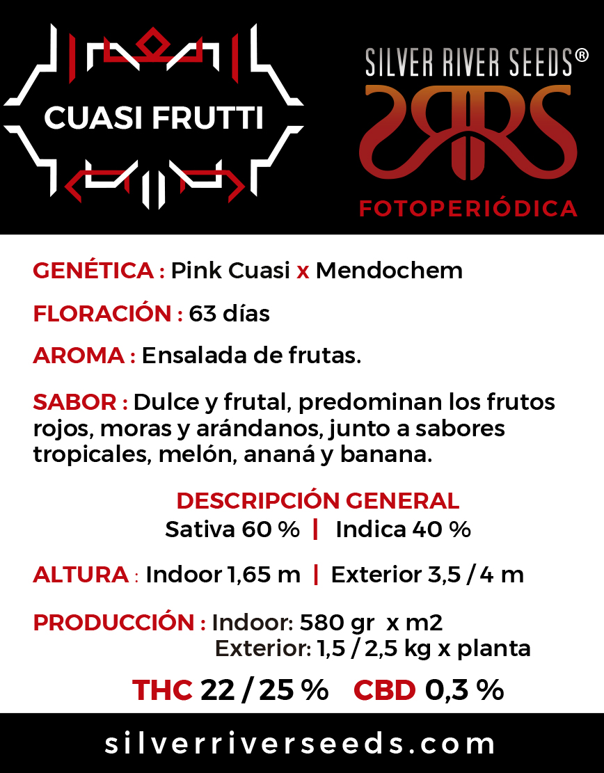 CUASI FRUTTI - Imagen 2