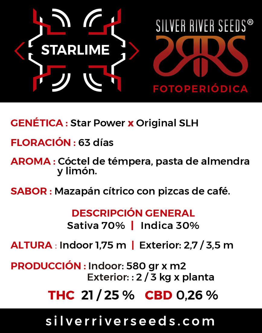 STARLIME - Imagen 2