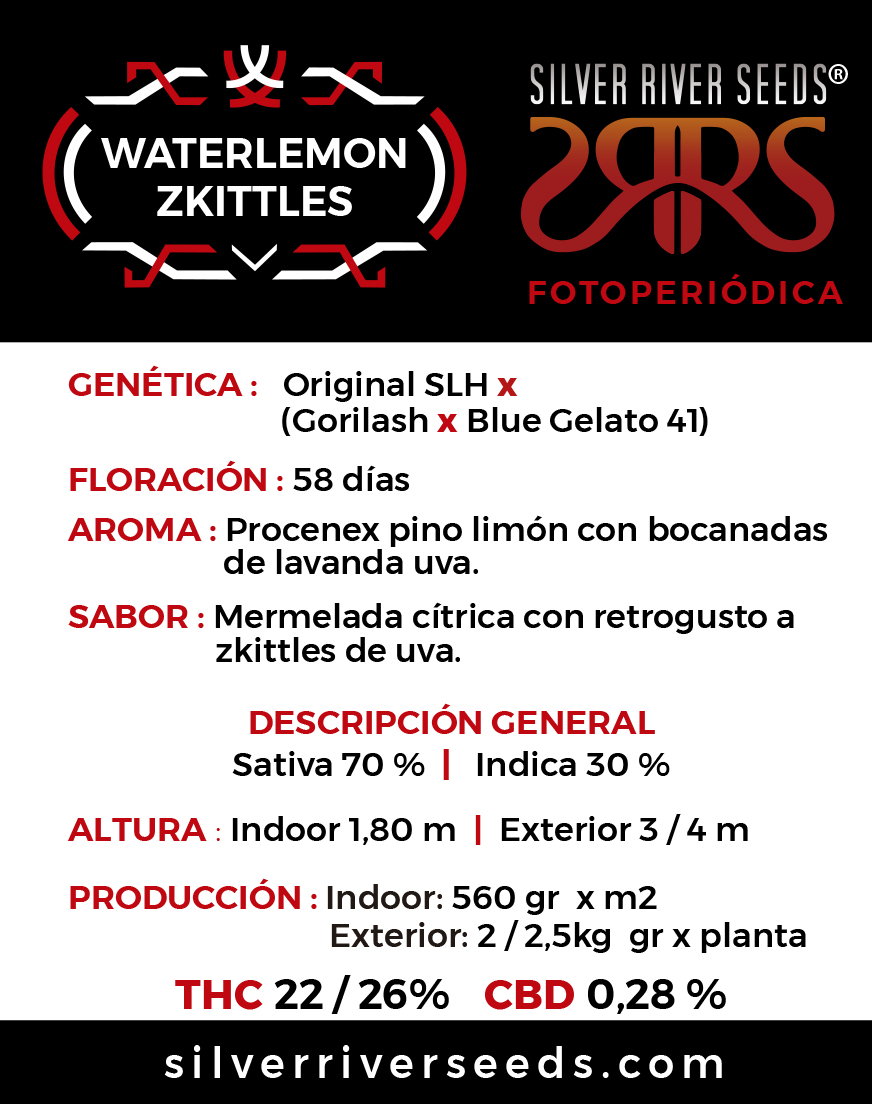 WATERLEMON ZKITTLES - Imagen 2