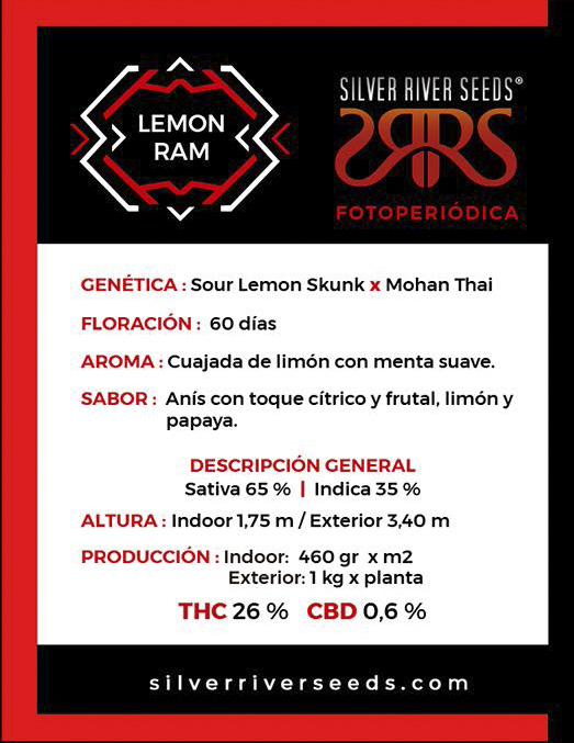 LEMON RAM - Imagen 2